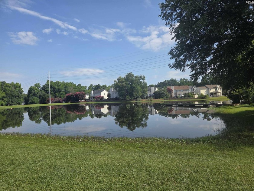Welcome to Martins Grove, one of Lexington's most sought-after - photo 45
