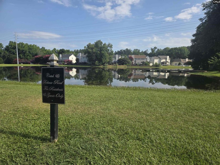 Welcome to Martins Grove, one of Lexington's most sought-after - photo 46