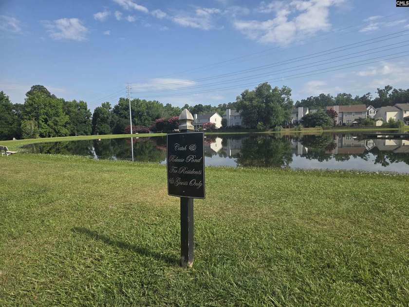 Welcome to Martins Grove, one of Lexington's most sought-after - photo 47