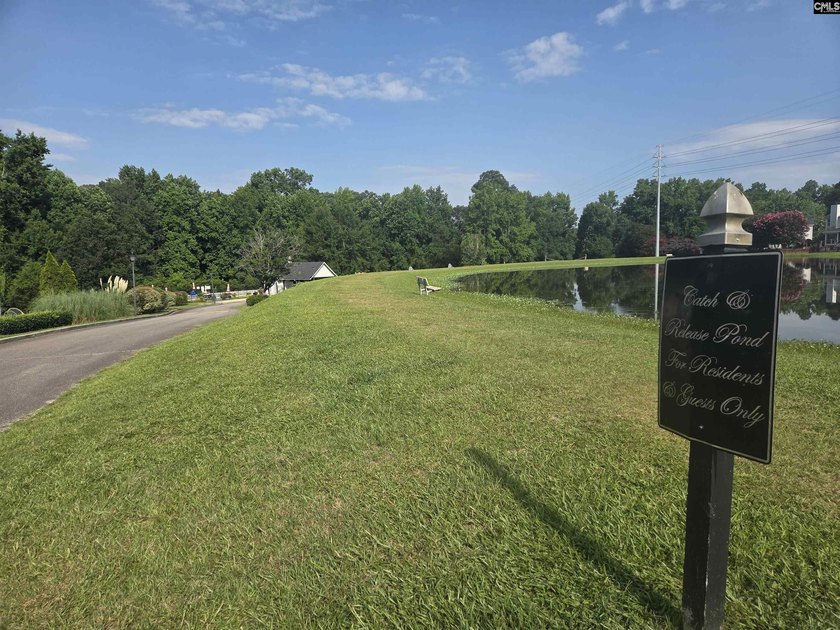 Welcome to Martins Grove, one of Lexington's most sought-after - photo 48
