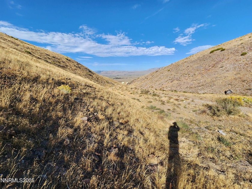 Fantastic view from the top of hill overlooking Palomino Valley - photo 5