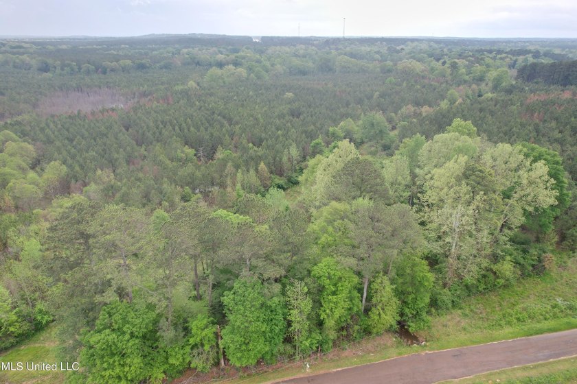 Located in the heart of Simpson County, this 53.2-acre spread is - photo 3