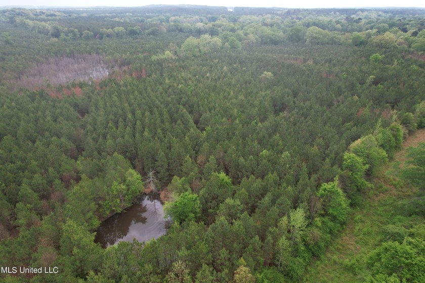 Located in the heart of Simpson County, this 53.2-acre spread is - photo 5