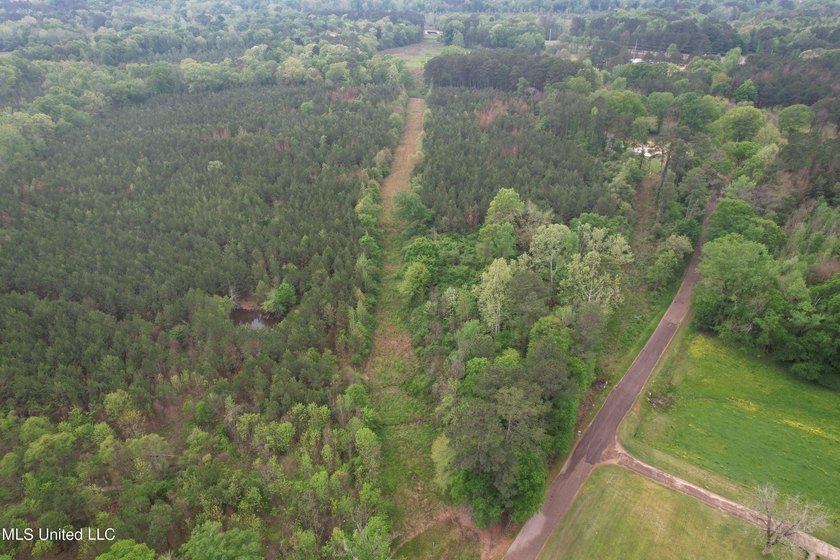 Located in the heart of Simpson County, this 53.2-acre spread is - photo 7