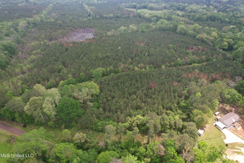 Located in the heart of Simpson County, this 53.2-acre spread is - photo 9