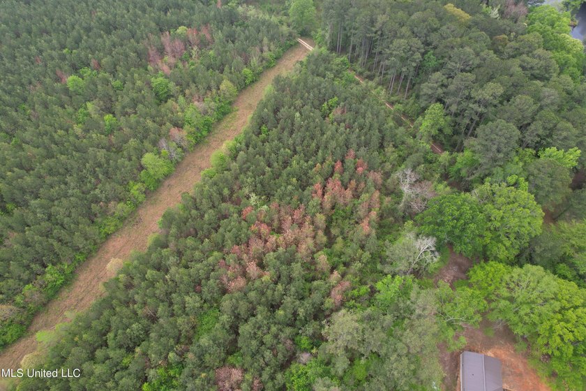 Located in the heart of Simpson County, this 53.2-acre spread is - photo 10