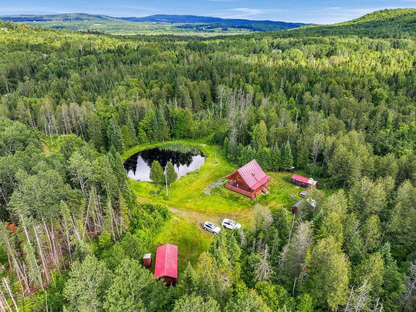 Unique in every way! This spectacular handcrafted full-log home - photo 16