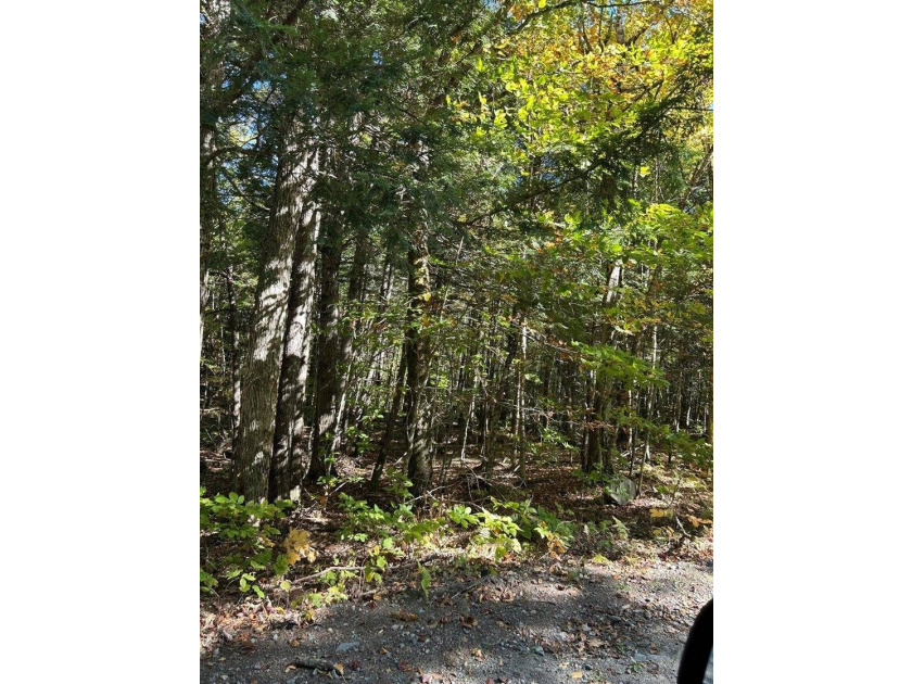 Step back into peace and beauty of the Maine woods with this 4 - photo 4
