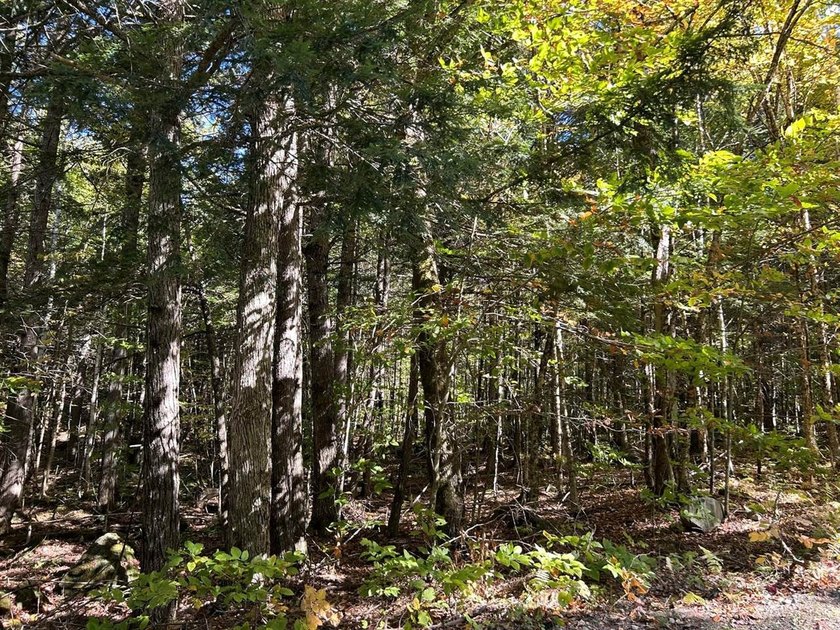 Step back into peace and beauty of the Maine woods with this 4 - photo 7