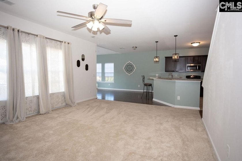 Don't miss this move-in ready Chapin home offering 4-bedroom - photo 20