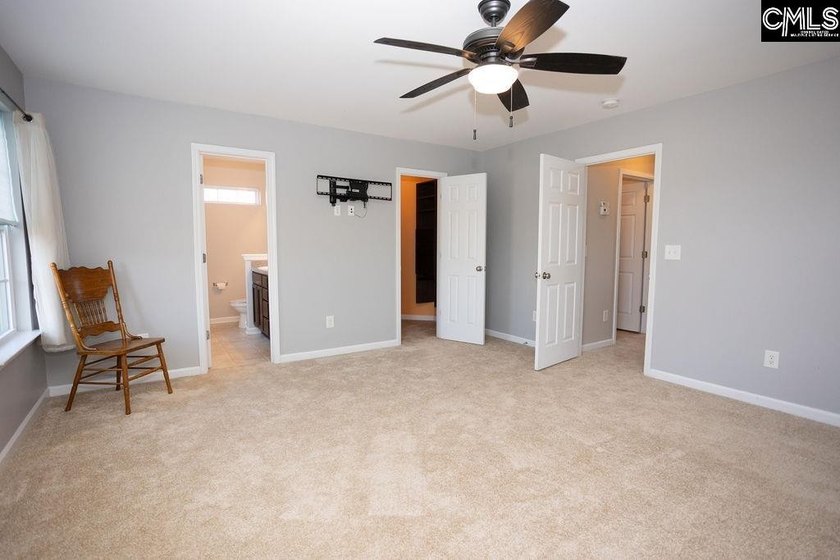Don't miss this move-in ready Chapin home offering 4-bedroom - photo 24