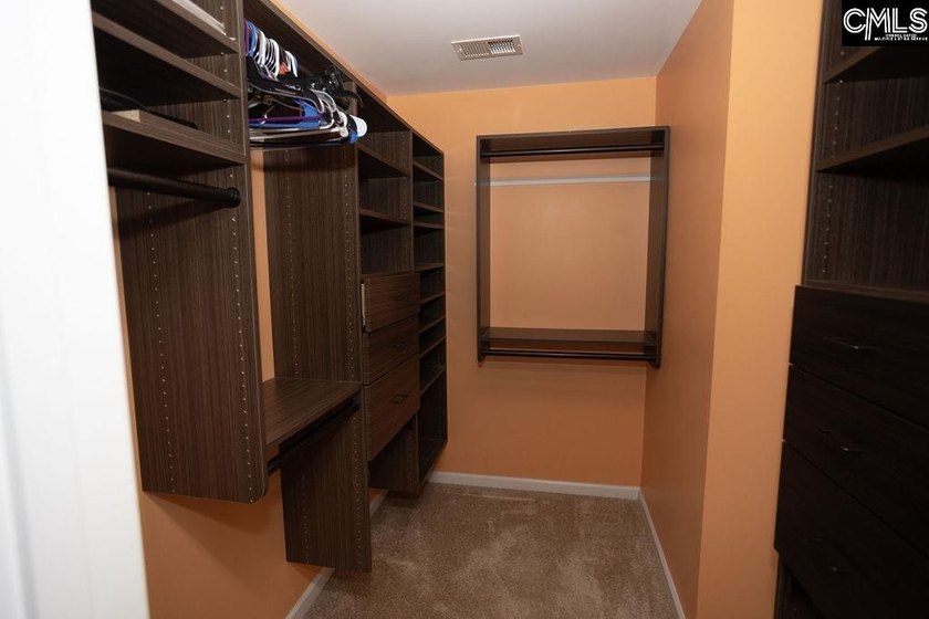 Don't miss this move-in ready Chapin home offering 4-bedroom - photo 26