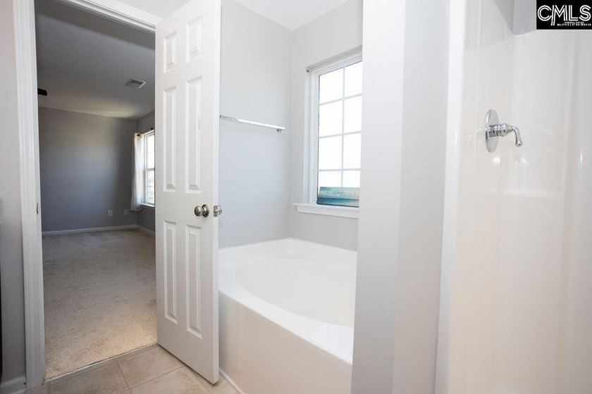Don't miss this move-in ready Chapin home offering 4-bedroom - photo 27