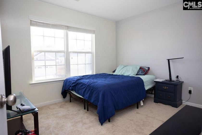 Don't miss this move-in ready Chapin home offering 4-bedroom - photo 36