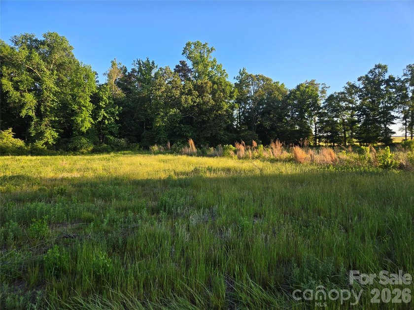 13.51 acres situated on Hwy 218 E in the Piedmont/New Salem - photo 5