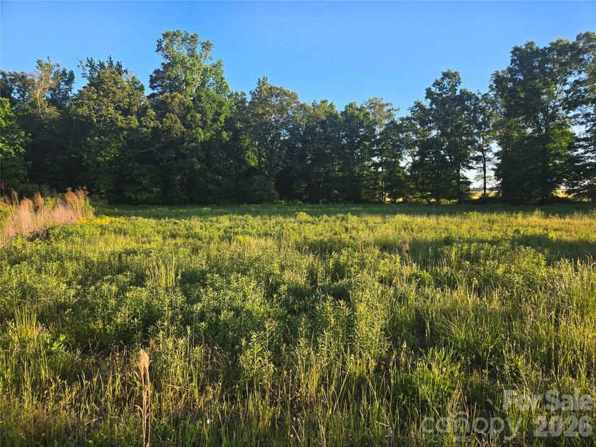 13.51 acres situated on Hwy 218 E in the Piedmont/New Salem - photo 6
