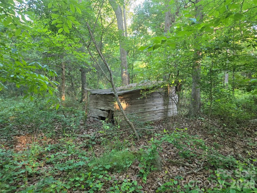 13.51 acres situated on Hwy 218 E in the Piedmont/New Salem - photo 7