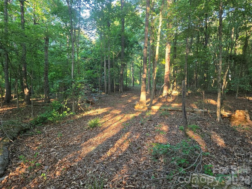 13.51 acres situated on Hwy 218 E in the Piedmont/New Salem - photo 8