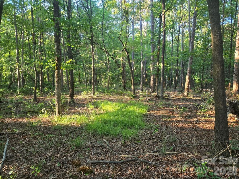 13.51 acres situated on Hwy 218 E in the Piedmont/New Salem - photo 9