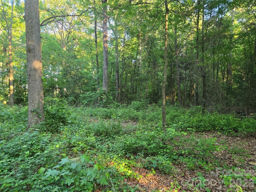 13.51 acres situated on Hwy 218 E in the Piedmont/New Salem - photo 10