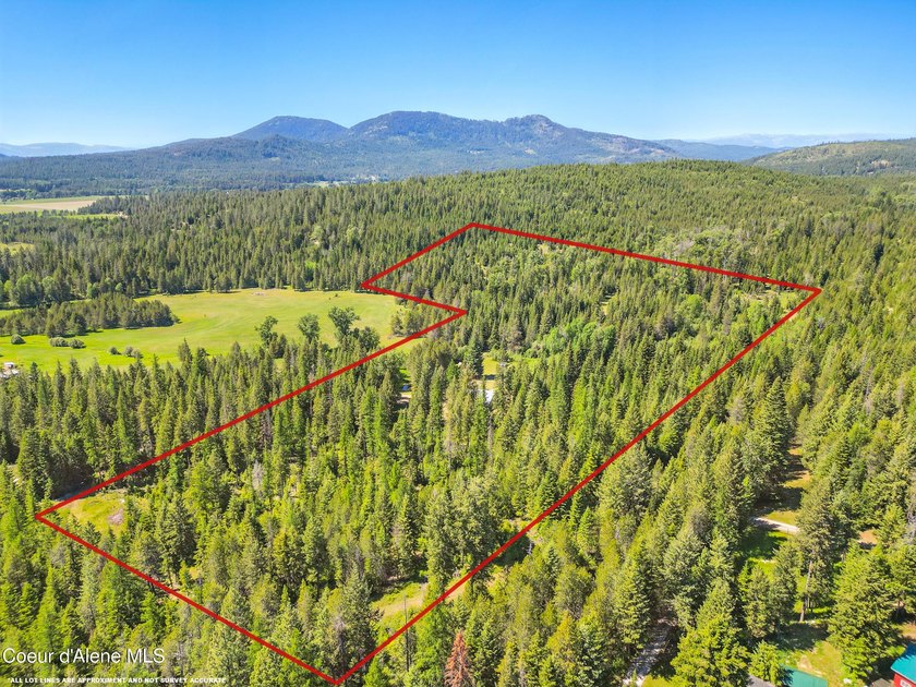 Behold a scarce opportunity with large acreage! This stunning - photo 32