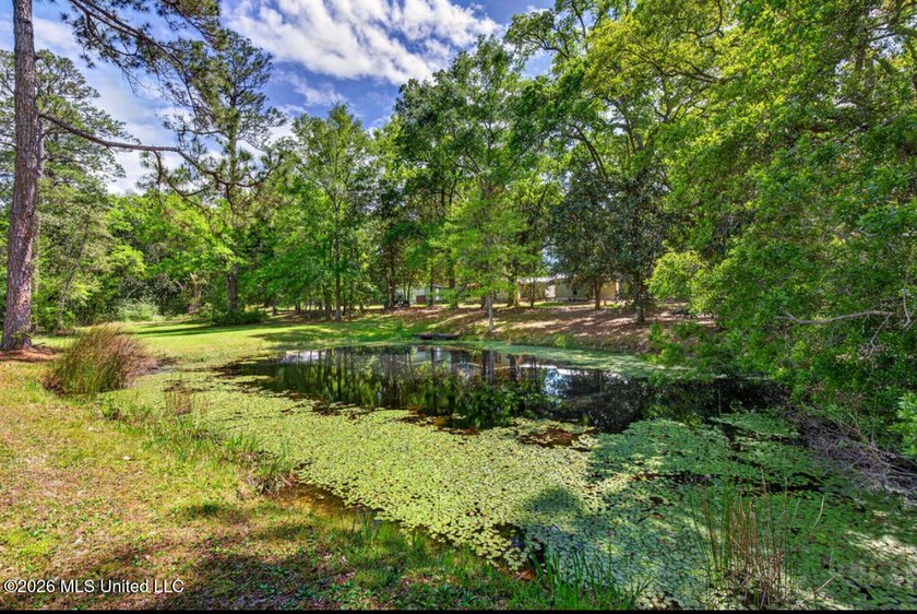 This home is tucked away on a 3 acre parcel. This charming 2 - photo 34