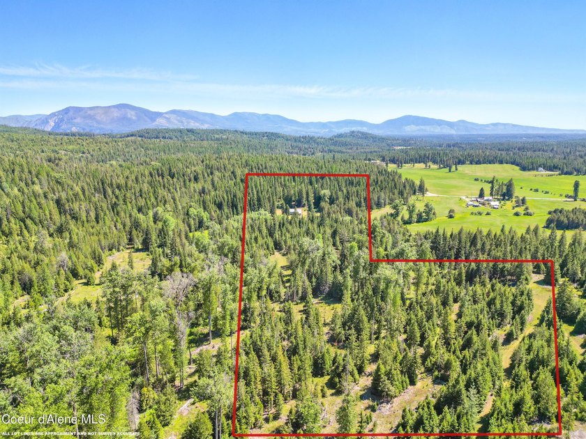 Behold a scarce opportunity with large acreage! This stunning - photo 38