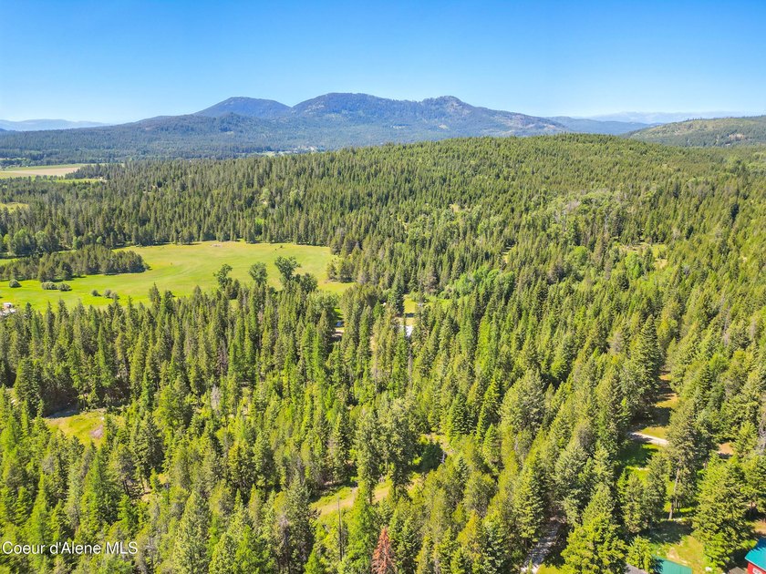 Behold a scarce opportunity with large acreage! This stunning - photo 39