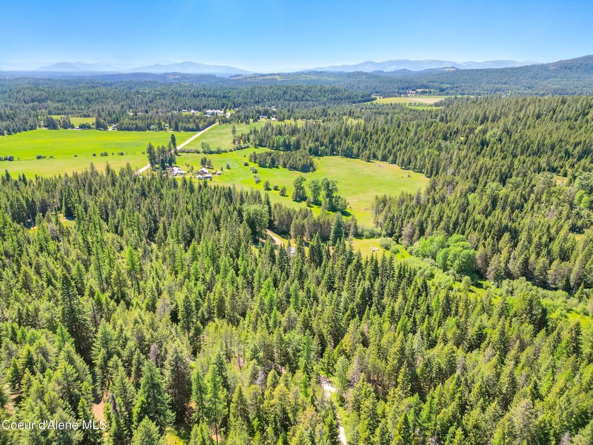 Behold a scarce opportunity with large acreage! This stunning - photo 40