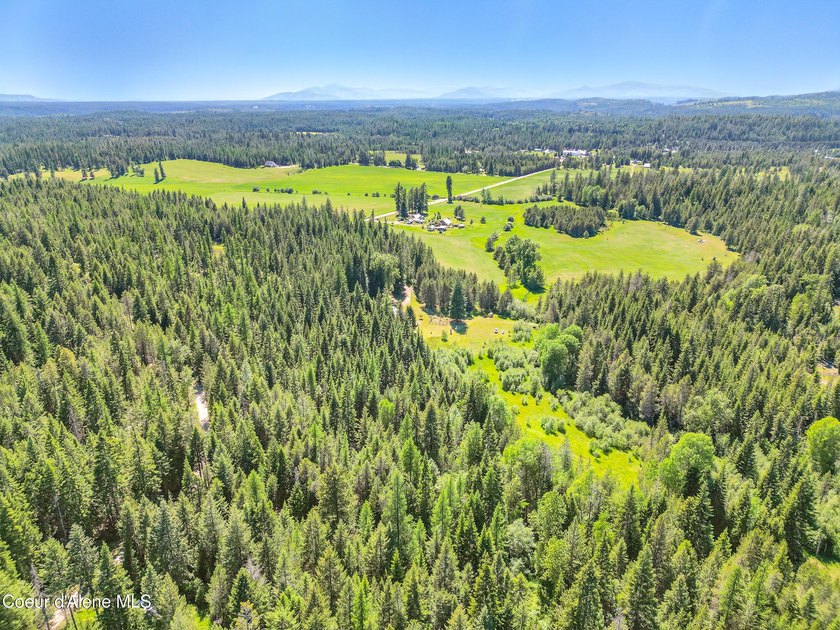 Behold a scarce opportunity with large acreage! This stunning - photo 41