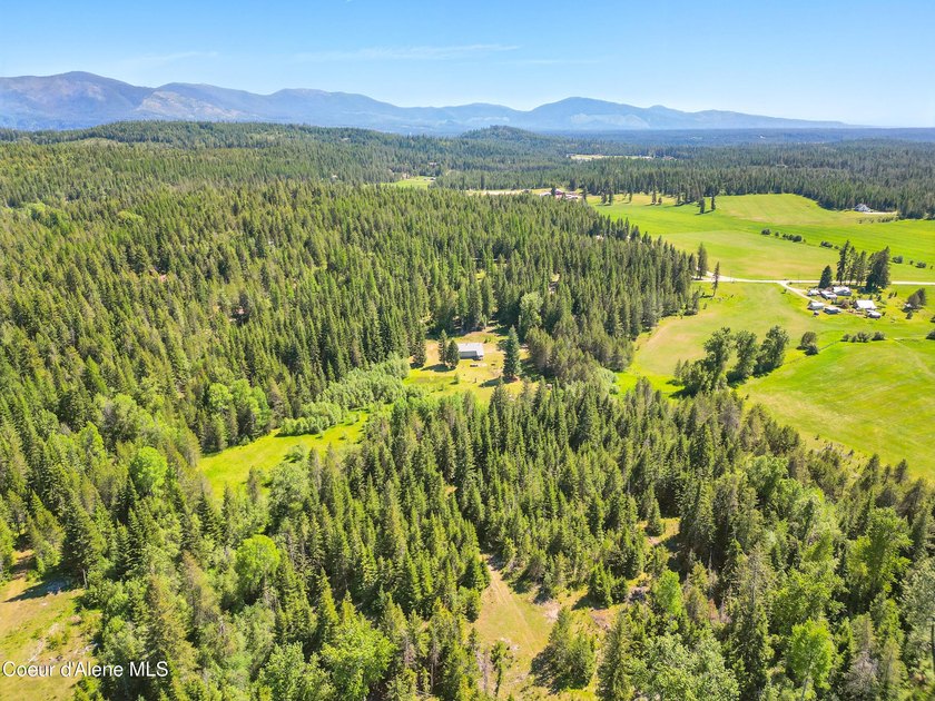 Behold a scarce opportunity with large acreage! This stunning - photo 43