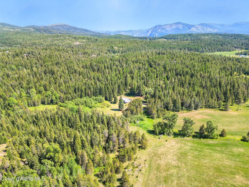 Behold a scarce opportunity with large acreage! This stunning - photo 44