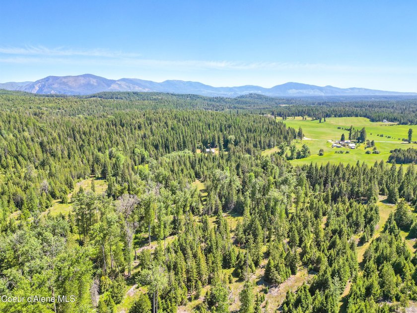 Behold a scarce opportunity with large acreage! This stunning - photo 45