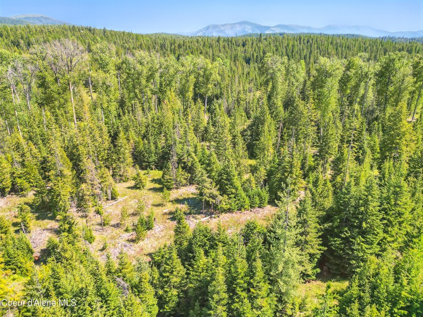 Behold a scarce opportunity with large acreage! This stunning - photo 46