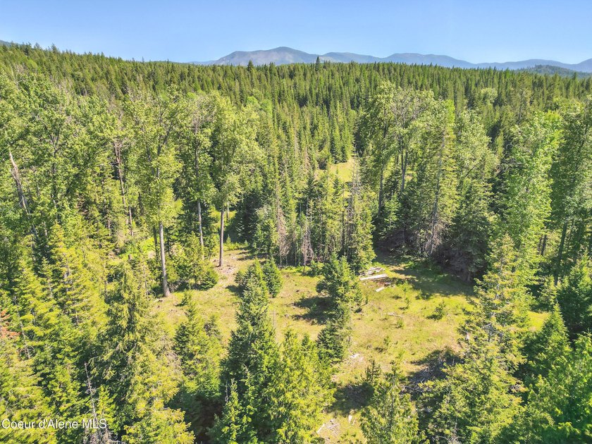 Behold a scarce opportunity with large acreage! This stunning - photo 47