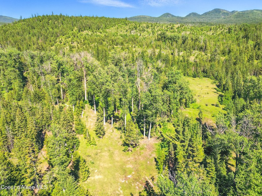 Behold a scarce opportunity with large acreage! This stunning - photo 48