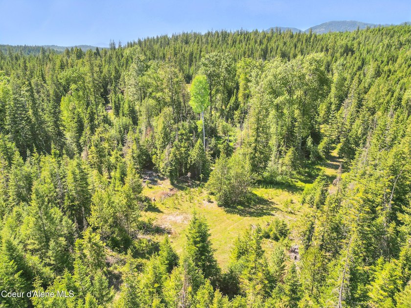Behold a scarce opportunity with large acreage! This stunning - photo 49