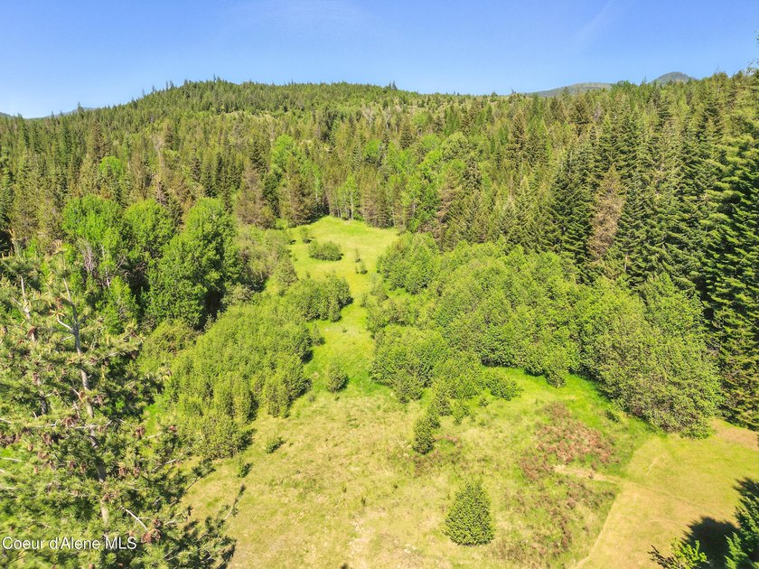 Behold a scarce opportunity with large acreage! This stunning - photo 50