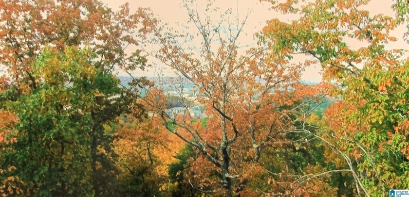 If you're looking for a private setting in Homewood, this - photo 45