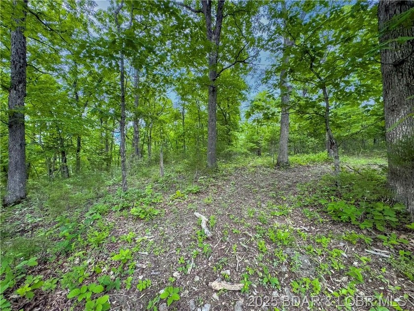 Great Building Lot on 2.4 Acres. The lot is just a 1/2 mile from - photo 12