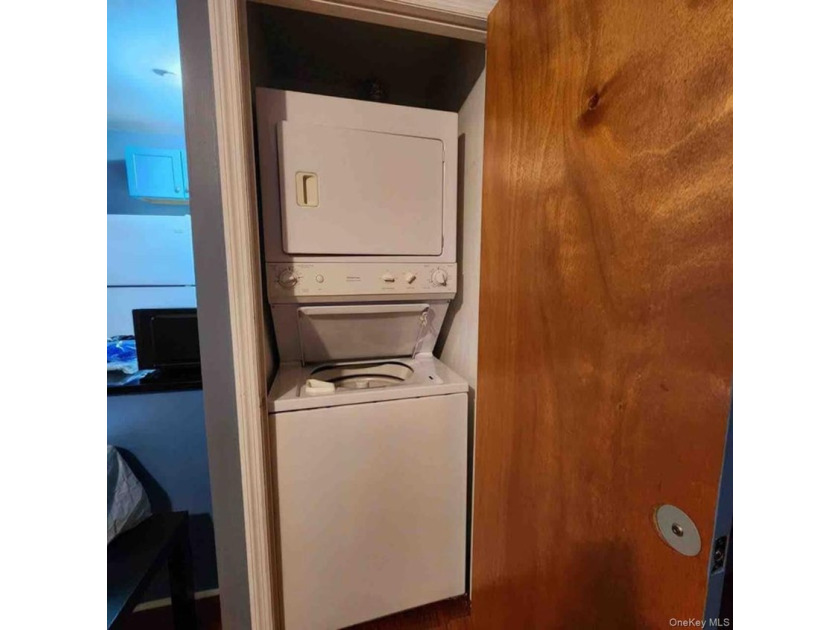 Prime Flushing Location! Spacious 2-bedroom, 2-bathroom - photo 2