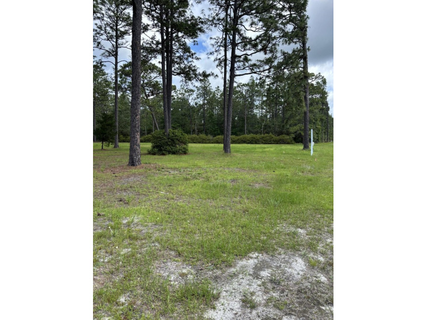 Price reduced on 11 July 2026. Sellers are motivated. Bring - photo 2