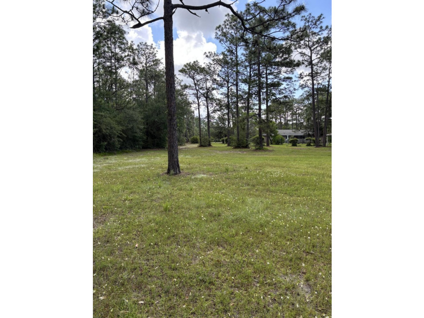 Price reduced on 11 July 2026. Sellers are motivated. Bring - photo 7