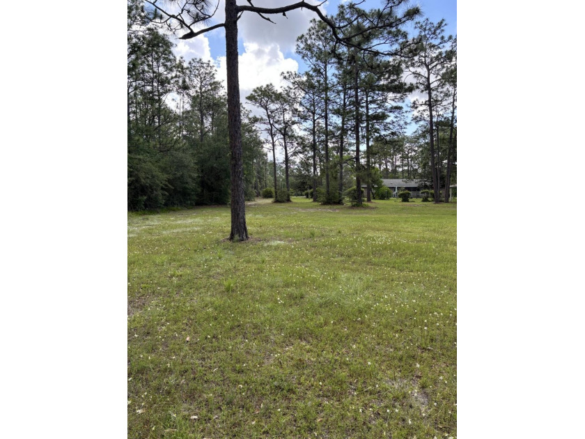 Price reduced on 11 July 2026. Sellers are motivated. Bring - photo 8