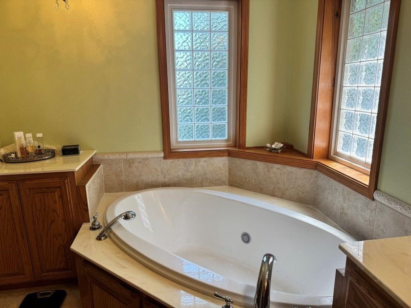 BEAUTIFUL HOME-PRIVATE LOCATION -ON LAKE OMAHA-Ski Lake. 1-OWNER - photo 16