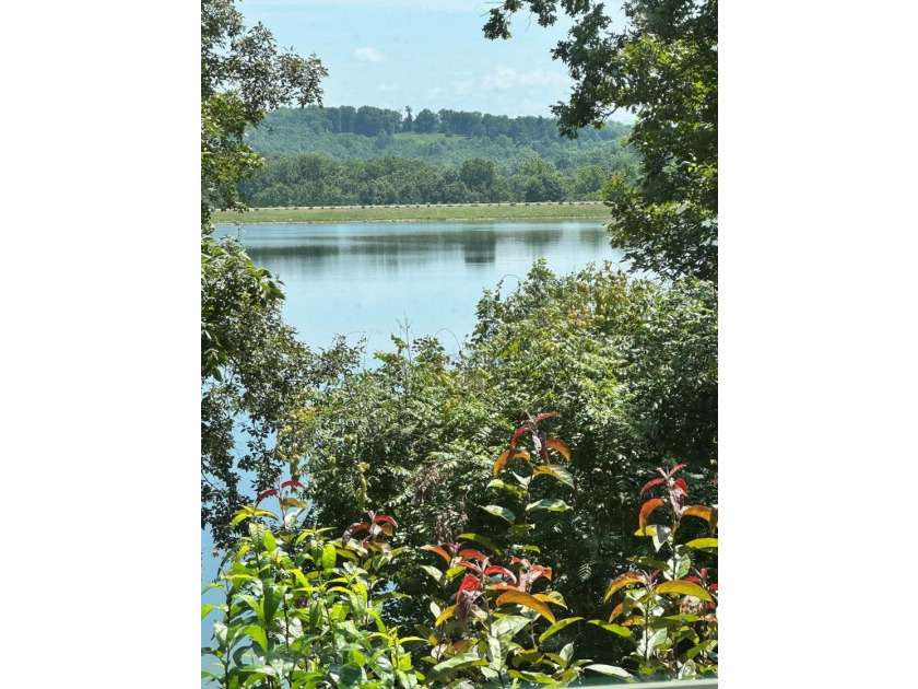 BEAUTIFUL HOME-PRIVATE LOCATION -ON LAKE OMAHA-Ski Lake. 1-OWNER - photo 37