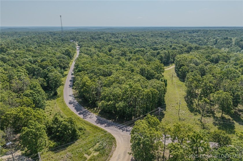 Excellent building lot consisting of 3.01 acres located on Ivy - photo 2