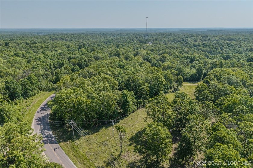 Excellent building lot consisting of 3.01 acres located on Ivy - photo 3