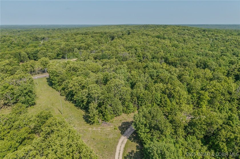 Excellent building lot consisting of 3.01 acres located on Ivy - photo 5