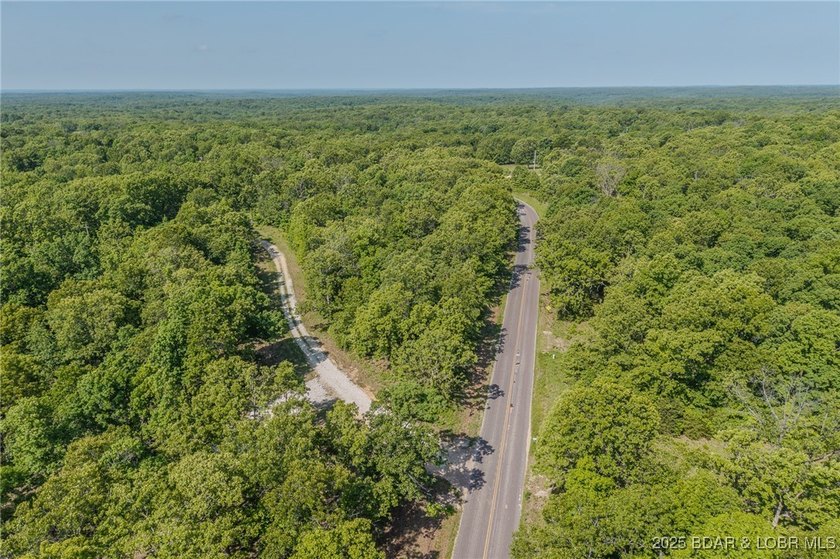 Excellent building lot consisting of 3.01 acres located on Ivy - photo 6